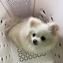 베스트드라이 이미지