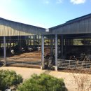 금와목장 이미지