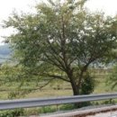 한울농원 이미지