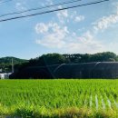 유성네거리 이미지