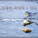 하춘화,오은주,이미자 - 물새 한마리 이미지