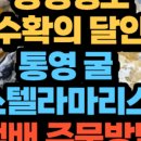 태화물산 이미지