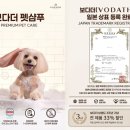 주식회사 보다