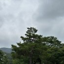 고승농장 이미지