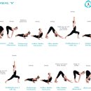 빈야사 & 전신 요가 이미지