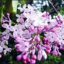 어시장 기업은행 앞 이미지