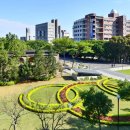 중원-80 | 타오위엔 중원대학 주변 가볼만한 곳 : 캠퍼스 산책, 야시장, 자연 휴식처