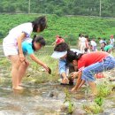 진정초등학교 이미지