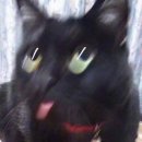 덴탈프렌즈 이미지