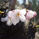 한성김치찜 이미지