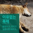 아이펫 동물병원 이미지