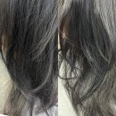 집중 머리결좋아지는법 AZH 데일리 러스터 헤어오일 &amp;실키 에센스로 찰랑찰랑 물미역머리 헤어...