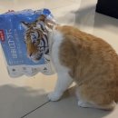 고척대우(아) | 2025 덕질 연말정산 (*스압주의)