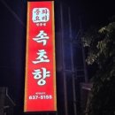속초향