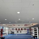 모던복싱클럽 향동 이미지