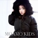 모아모