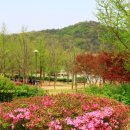 부평생태습지[부평-5] 이미지