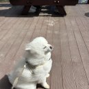 창규농장 이미지