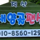 새양골펜션