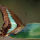 동부공원 이미지