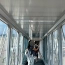 뉴제주약국 이미지