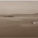 군산바다 이미지