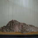 명품수석