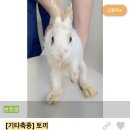 조재진 동물병원 이미지