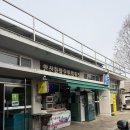 화랑오토캠핑장 | 안산 가볼 만한 곳 놀 거리 추천 화랑유원지 오토 캠핑장 글램핑 후기