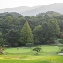 동래 이미지