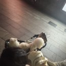 유빈약국