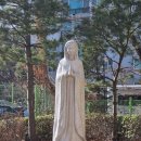 성가정약국 티스토리