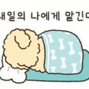 크로스핏 바이브온 네이버블로그