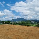 양평전원공인중개사사무소 이미지