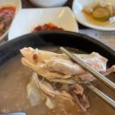 5277 | 대전 유성구 구암동 유성본가 누룽지 삼계탕 맛집 추천 내돈내산 솔직 후기