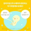 280데이즈 이미지