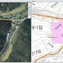 봉화임야 산지개발 급매임야 봉화군 명호면 고감리 산10, 11,434평,6천만원 이미지