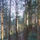 더휴일펜션 이미지