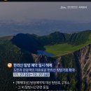 한라산생약