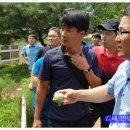 안명초등학교 이미지