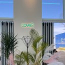 코브나인 이미지