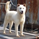 건영축산 이미지