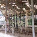 창조농장 이미지