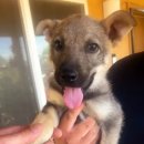 제우스타이어 이미지