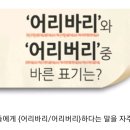 그는 사람들에게 (어리바리/어리버리)하다는 말을 자주 들었다 이미지