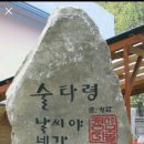 술타령 - 수성구 | 술타령