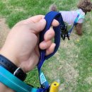 개편하개 이미지