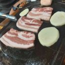 정마담PC 이미지