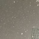 광양토박이샤브샤브 | December, 여기 떨어진 이 사랑이 나에겐 화살표 되어