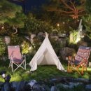 드까르멜릿 이미지